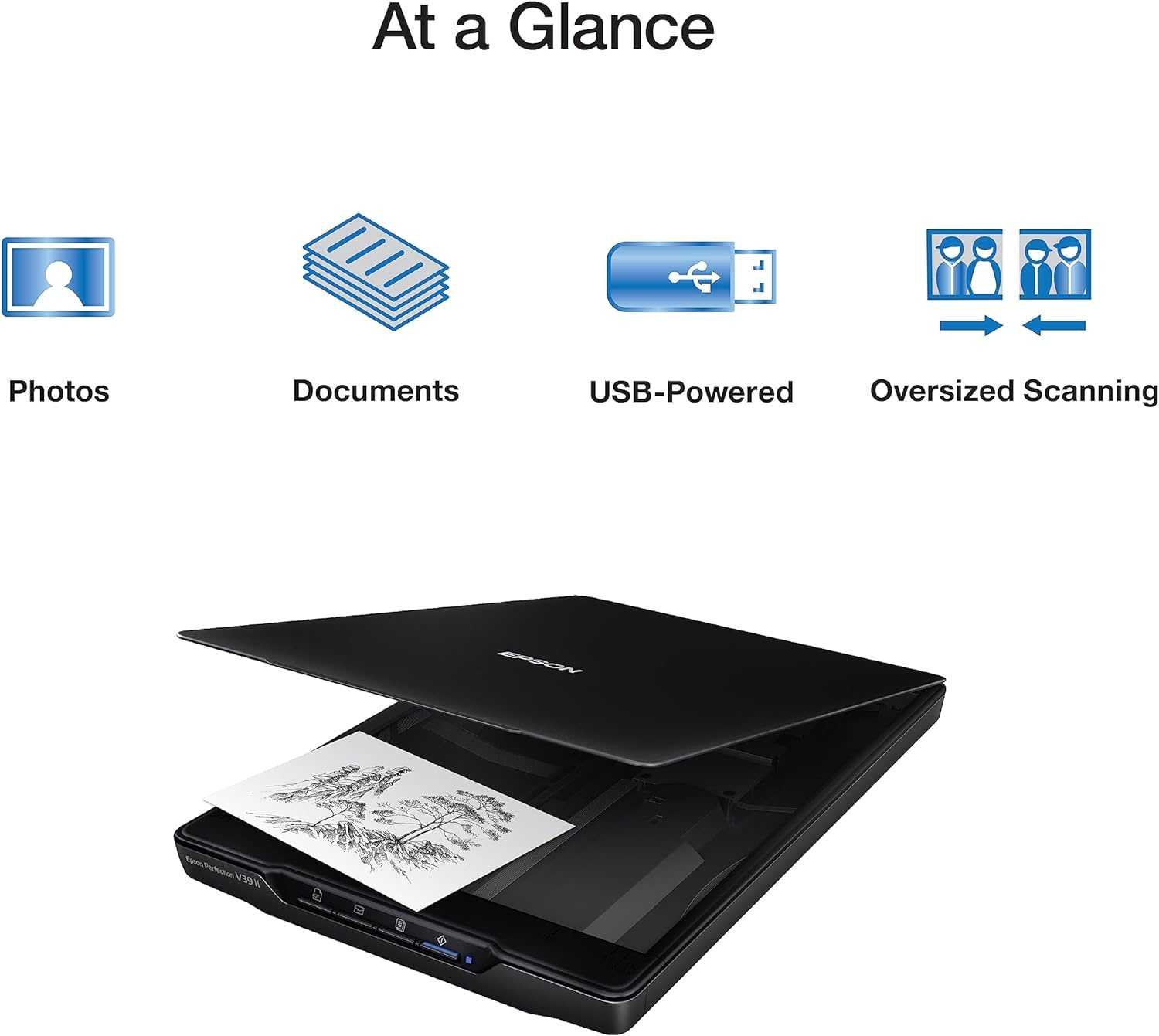 image:imageEpson Perfection V39 II Color Photo and Document Flatbed Scanner with 4800 dpi Optical Resolution Scan to Cloud USB Power and HighRise Removable LidPerfection V39 II
