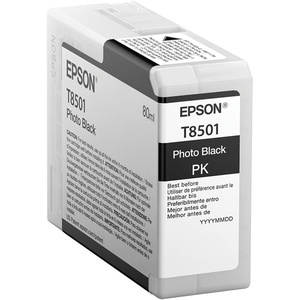 image:imageEpson T850100 T850 UltraChrome HD Photo Black Ink